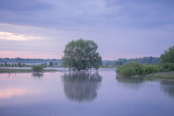 Obraz premium reflection of trees in the lake