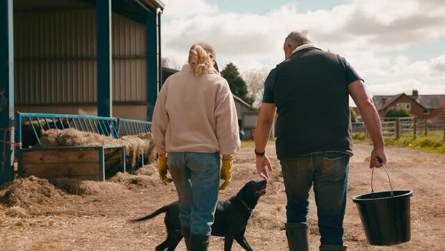 Rear view of male and female farm workers with dog walking across yard past cattle barn at feeding time carrying bucket  - shot in slow motion