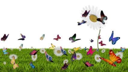 PNG. Illustrazione 3D. Primavera, estate. Fiori e farfalle su prato verde . Campo di erba con fiori colorati e farfalle, sullo sfondo trasparente.