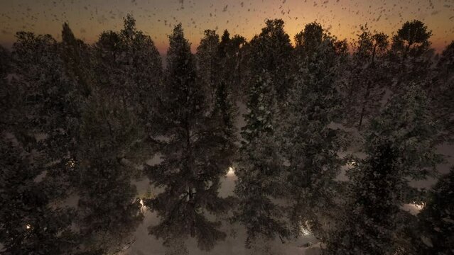 Forest_Snow_Sunset_LOOP