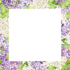 Square frame with spring flowers. Watercolor lilac for wedding invitation. Square template for save the date, perfume or cosmetics design. White, lilac, violet syringa on a transparent background.