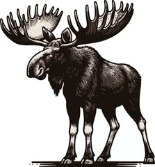 Moose black and white vector illustration Free Download