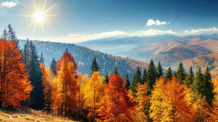 Sunny autumn day at beautiful mountain 