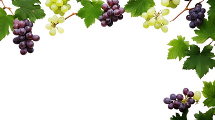healty fruits isolated on white