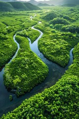 The lush green canopy of the Amazon rainforest is broken up by the winding curves of a river
