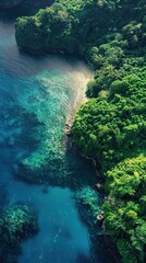 Aerial View of Pristine Tropical Waters - Stunning overhead shot of vibrant blue-green tropical waters meeting lush green foliage. Perfect for travel and nature themes.