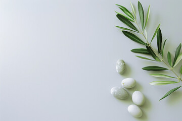 Photo of A single olive branch with white stones on the right side, against a light grey background.