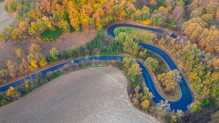 Aerial view of a scenic road meandering through a lush forest