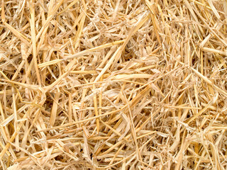 Closeup of yellow gold straws