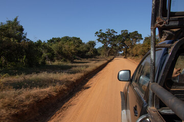 yala national park, view from the jeep, 4x4 Jeep Safari Tour