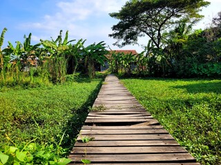 wooden bridge over the river