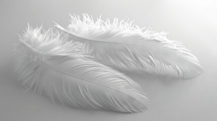   A pair of white feathers rest atop a white countertop, adjacent to a table