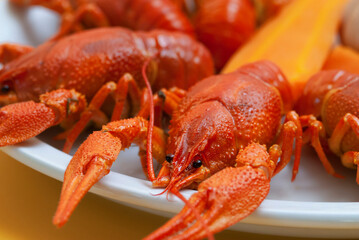 Piece of chocolate cake on a wooden plate with a cup of coffee