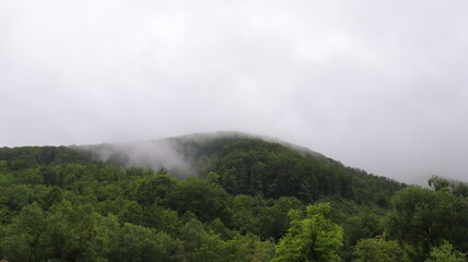 fog in the mountains