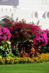 Jardines en Old Muscat, Sultanato de Omán
