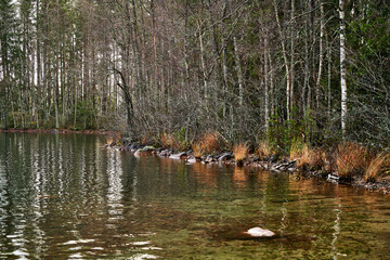 Serene lake surrounded by lush trees along the shore