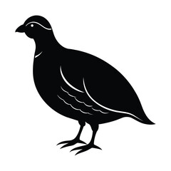 Quail silhouette, Quail Vector illustration, California quail silhouette icon logo, Quail isolated on white background