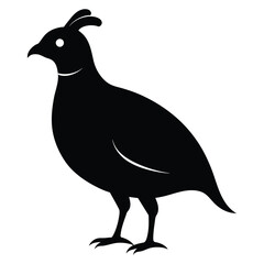 Quail silhouette, Quail Vector illustration, California quail silhouette icon logo, Quail isolated on white background