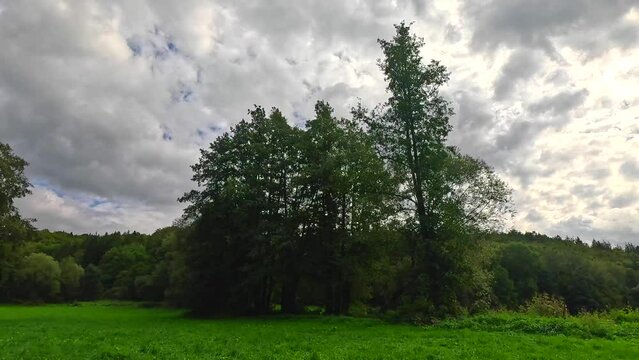 Scenic view of a thick evergreen woods on green hills under cloudy dusk sky ay sunset