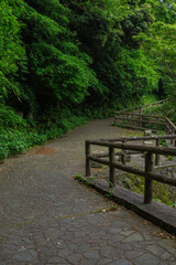 緑に囲まれた遊歩道、緑地公園