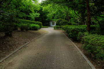 緑に囲まれた遊歩道、緑地公園