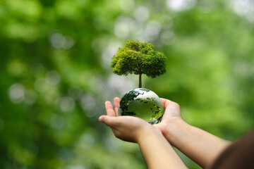 Hands support the earth with trees on the earth. Concept of environmental conservation. green...