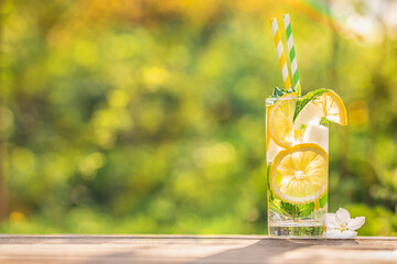 lemonade in glass with fresh lemon slice in garden. summer concept