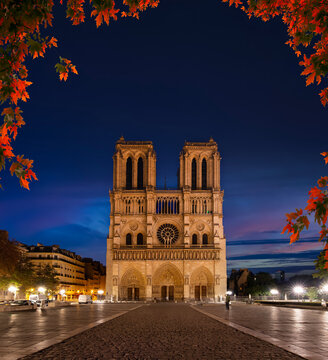 Notre Dame at night