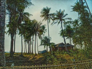 Beautiful bay with boats and palm trees in Ngapali beach Thandwe