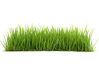 a close up of grass - Powered by Adobe