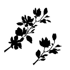 Vector silhouettes of cherry or apple tree branches, with leaves, flowers, black color, isolated on a white background