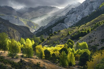 Tuscany - landscape with spring flowers. Beautiful simple AI generated image in 4K, unique.