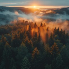 Fototapeta premium Fog envelops the mountain forest The rays of the rising sun break through the fog Aerial drone view Please provide high-resolution