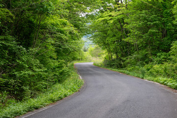 Fototapeta premium 日本の岡山県の蒜山高原のとても美しい初夏の風景
