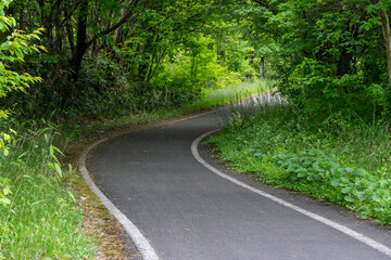 Fototapeta premium 日本の岡山県の蒜山高原のとても美しい初夏の風景