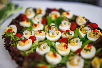 Deviled egg appetizer on a plate decorated with a daisy edible flowers. Salad garnish buffet. Food styling for celebration event