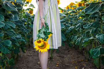 Woman wearing summer dress from recycled material fabric and holding sunflower in agricultural field. Concept of sustainable fashion and lifestyle
