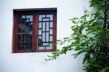 Wooden windows of the house in the white wall surrounded by the bushes