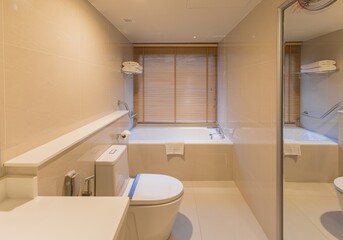 A bathroom with a toilet and a bathtub