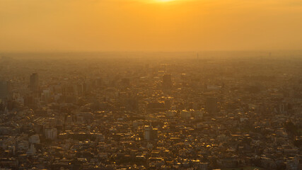 Golden sunset over Tokyo endless suburbs