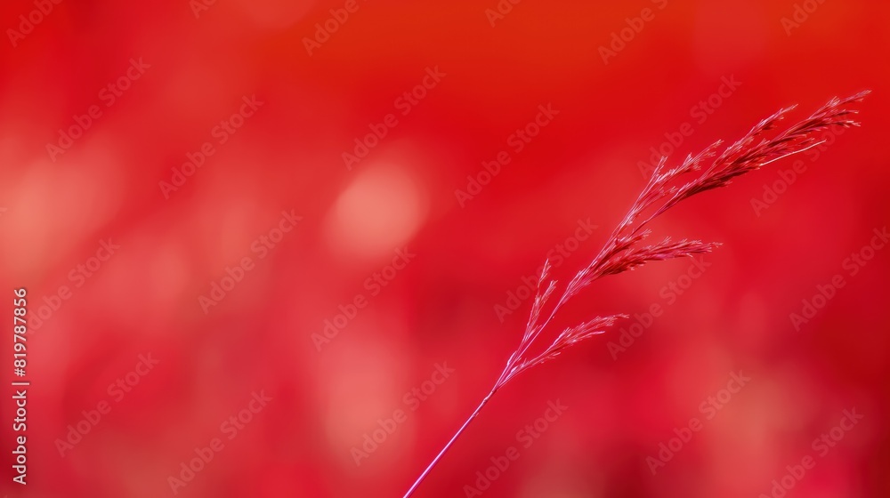 Poster a minimalist red grass background with a single blade in focus against a blurred backdrop, emphasizi
