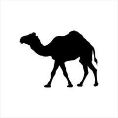 Black camel silhouette isolated on white background. Camel icon vector illustration design.