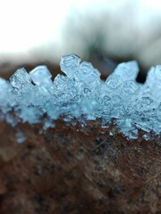 Close-up shot of a log covered in beautiful shimmering ice crystals