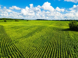 Scenic view of a large, expansive field with a cloud-filled sky in the background