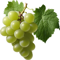 Obraz premium A bunch of green grapes with a green leaf attached.