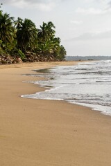 Vertical shot of sea waves beautifully splashing on the beach surrounded by palm trees