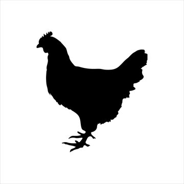 recommend clip art: Chicken hen silhouette isolated on white background. Chicken icon vector illustration design.