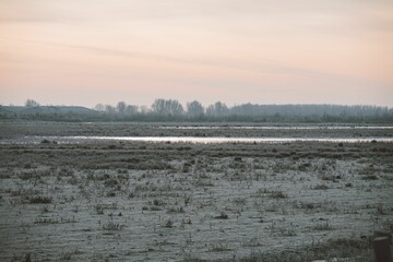 A dried field landscape illuminated by the soft light of dusk
