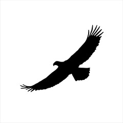 Obraz premium Eagle flying silhouette isolated on white background. Eagle flying icon vector illustration design.