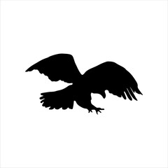 Flying bald eagle silhouette isolated on white background. Bald eagle icon vector illustration design.